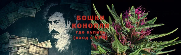 сатива Бронницы