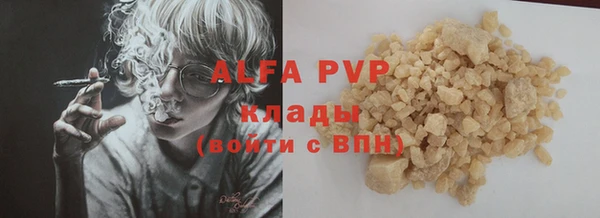 сатива Бородино