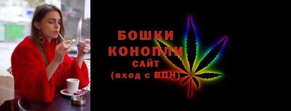сатива Бронницы