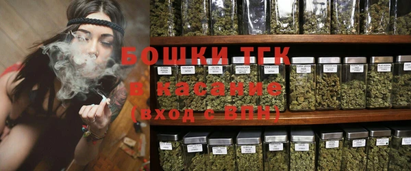 сатива Бородино