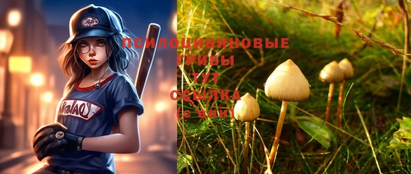 скорость Верхний Тагил