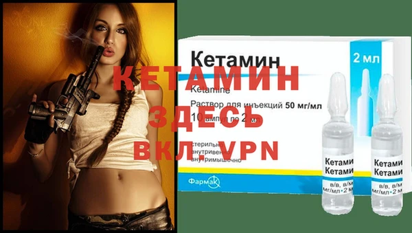 сатива Бородино