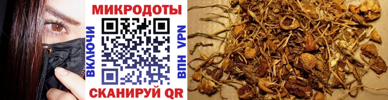 Галлюциногенные грибы Cubensis кракен сайт Арзамас